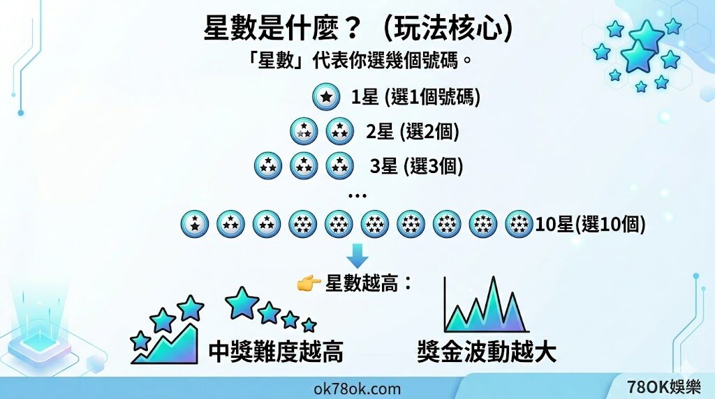 賓果賓果怎麼玩?完整玩法教學、星數規則與中獎方式一次看懂【TU娛樂】 5 image 17 13