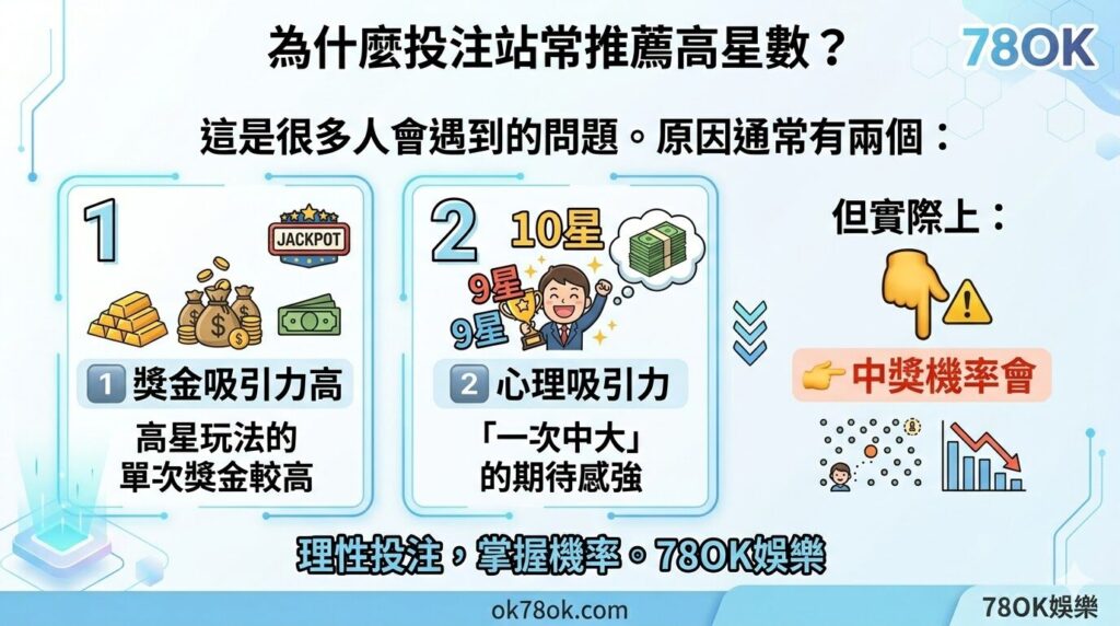 賓果賓果怎麼玩?完整玩法教學、星數規則與中獎方式一次看懂【TU娛樂】 6 image 17 15